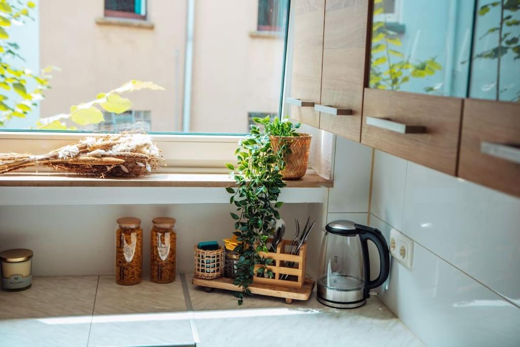Central-Living Brown - Wifi - Netflix - 5 Pers Ессен Екстер'єр фото